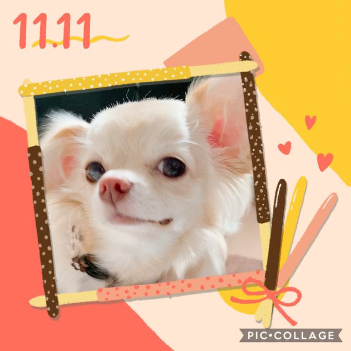 B2598f0c da6c 44cd 8842 3f31dbe45033 1605065849272