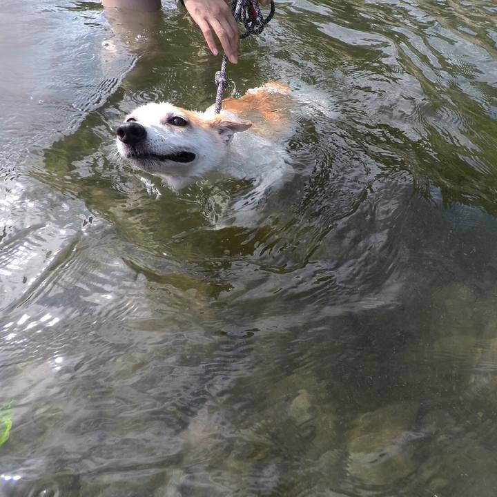 B259d2ba 5e45 49a4 9526 da17d203b02a 1596981301182