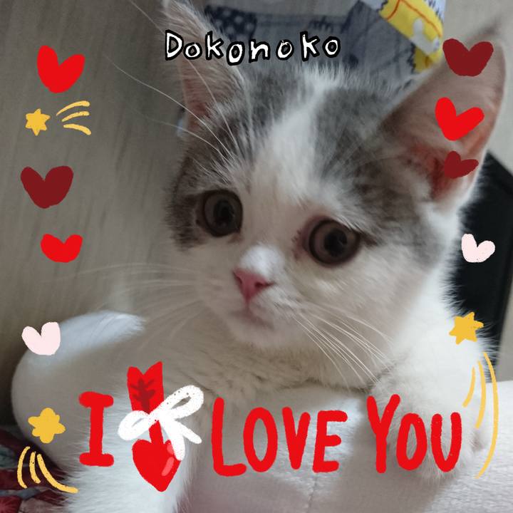 B25a06f1 f6a8 4615 aad2 3171649d840c 1706975735684