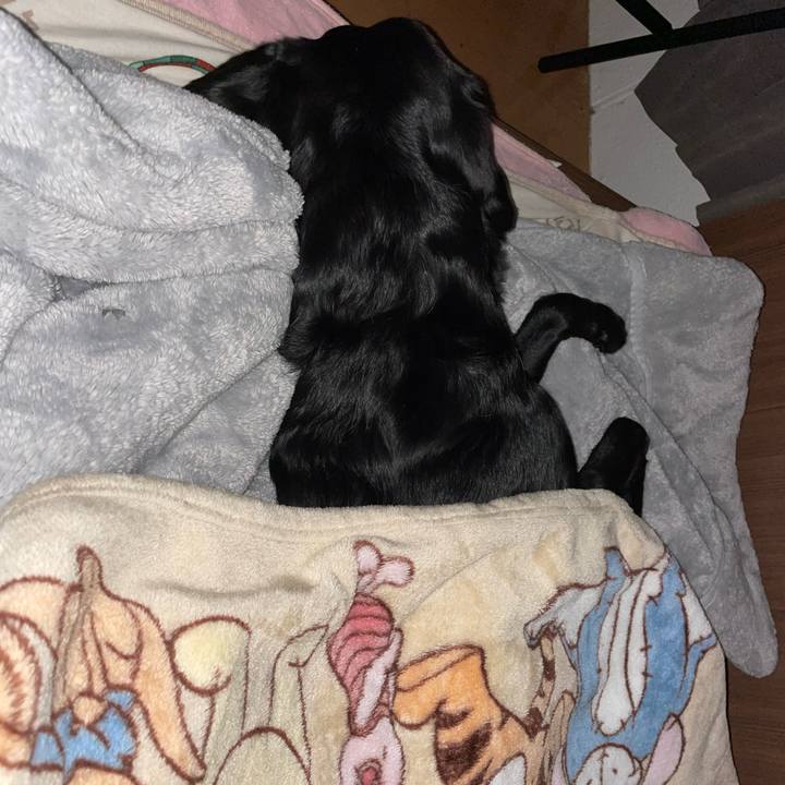 B25a559d 540a 48be a453 c3bb414c34cc 1648224424142