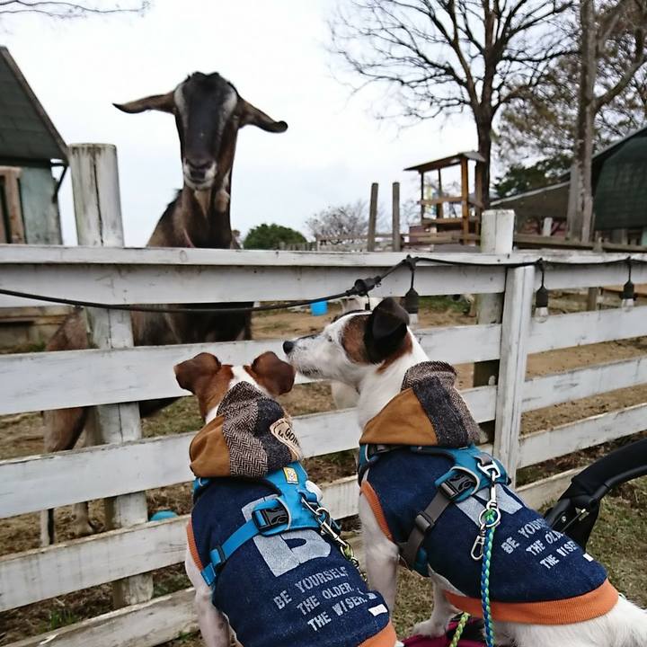 B25a5c6e 8105 45cb b81e 43b2ea5ddc1b 1572768893985