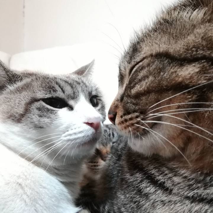 B25a6231 09b4 4a74 b2b2 af8bc3423e7b 1552215683135