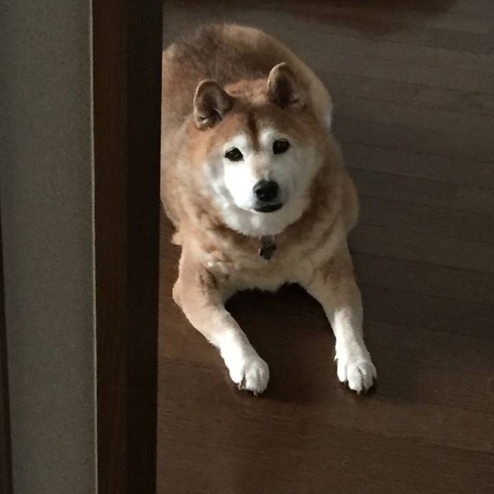 B25a887a 44d7 4894 bf7f 2316561b1192 1556791543768