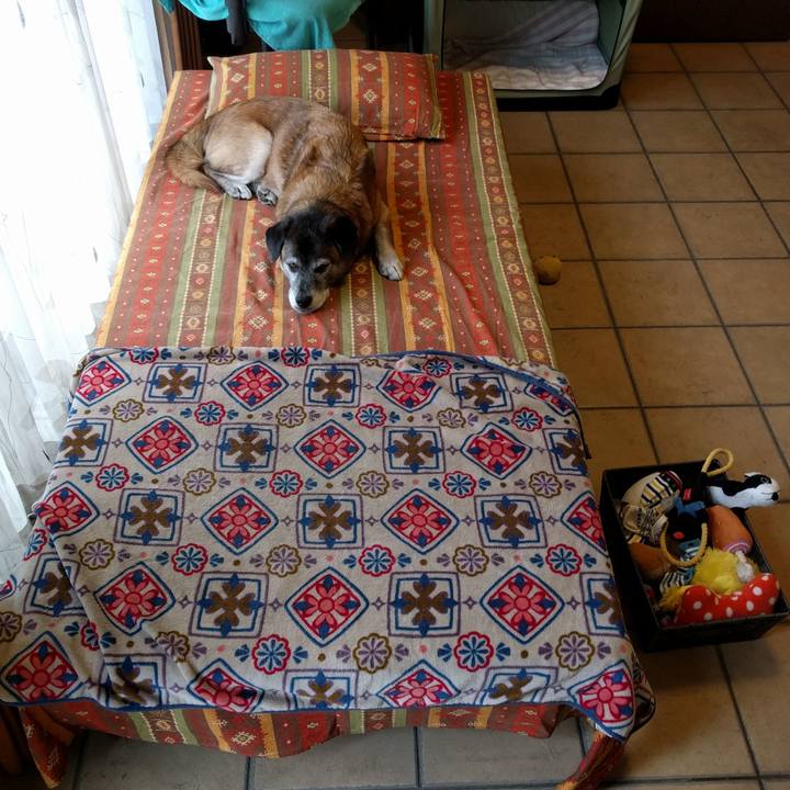 B25a9460 4a74 4ca3 8f1a 7b6b6cfd6322 1539913632784