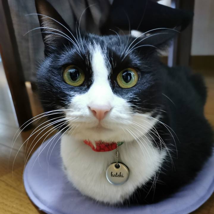 B25ae6c2 dbd5 4dbc a7ec 267113fa63f1 1644040345340