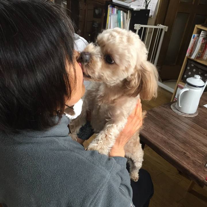 B25aecc6 5fbb 42c3 b870 df74629b35bd 1553391459580