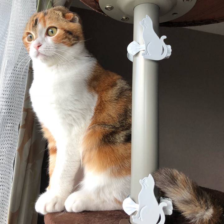 B25b63f6 319d 4061 bef8 d837f3f16550 1517614890001