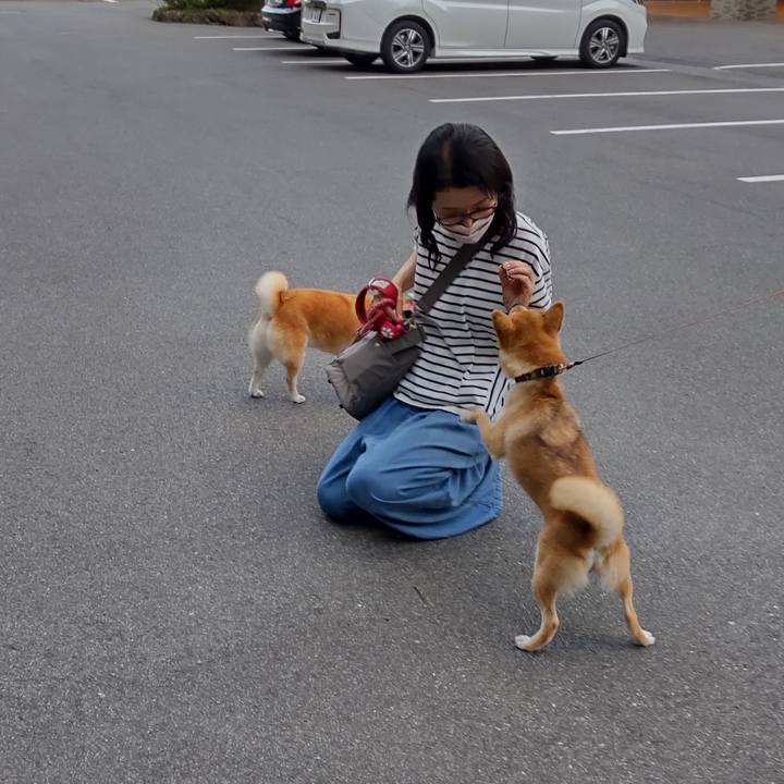 B25b73fa 5a21 4c6c ae51 fdd22d629d41 1663329473139