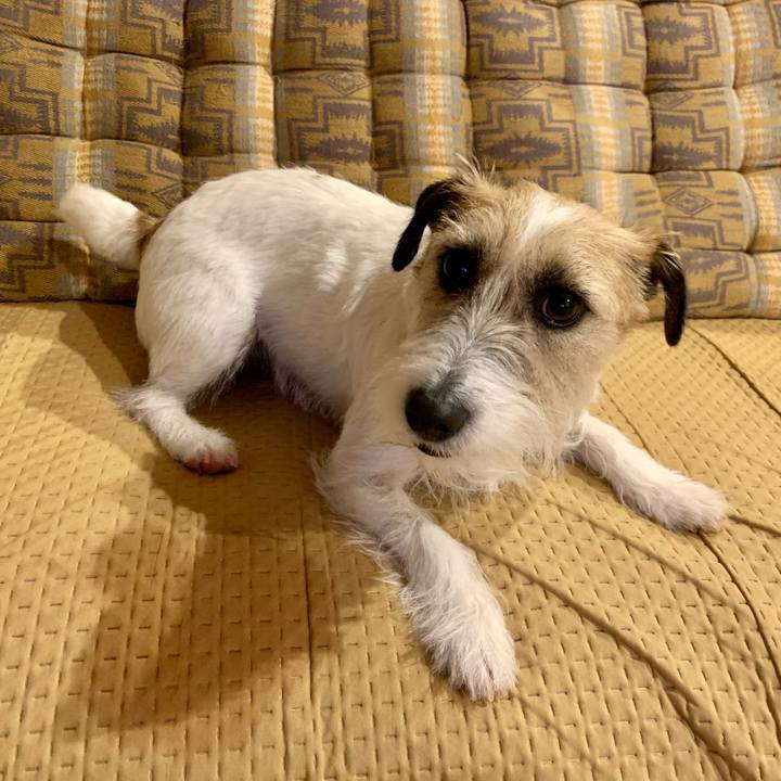 B25b8d09 63e1 4afc bfd0 432a7a8f3e65 1684242035537