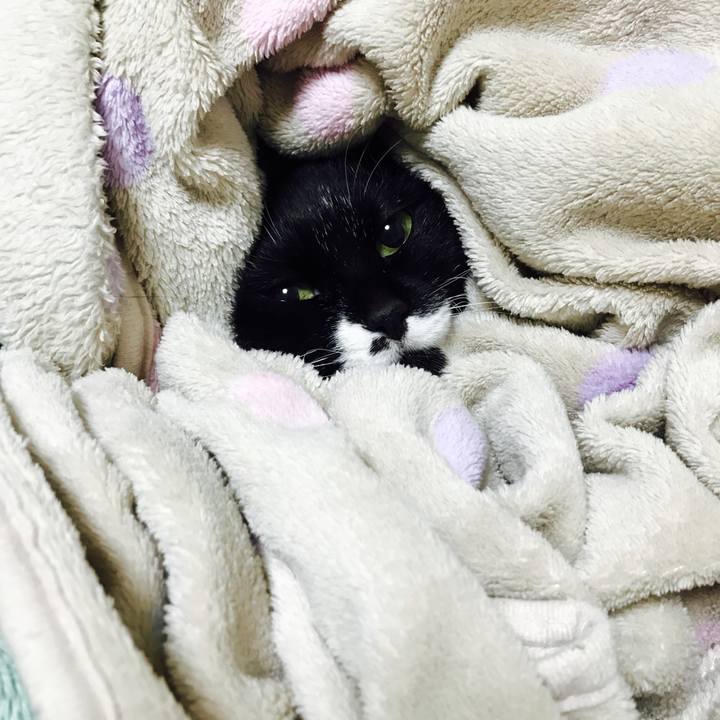 B25bd703 d72e 4b18 a043 f0250f6618ae 1508406243369