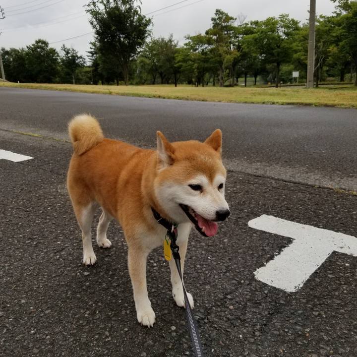 B25c1af7 bcb6 454c aed3 6fee9666236f 1599206148757