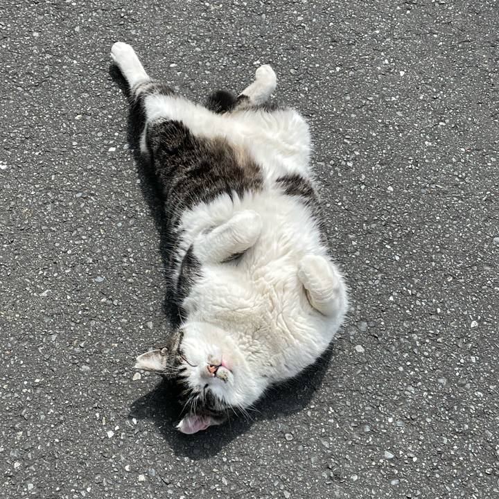 B25c4d0d 6e1f 48e5 86fc b6f249a865f5 1648870027994