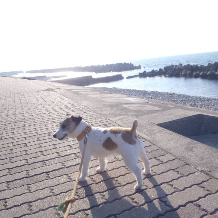 B25c594d 164b 42fd 91e2 11dc65d53061 1520167679046