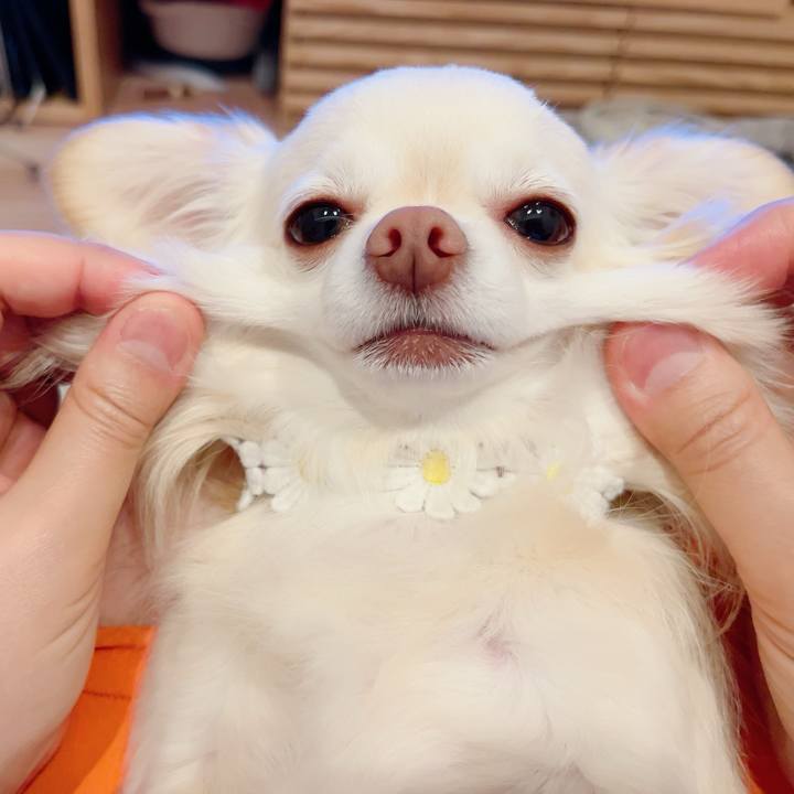 B25c7a29 6669 44fa ab82 3c6eab9400a5 1714391178964