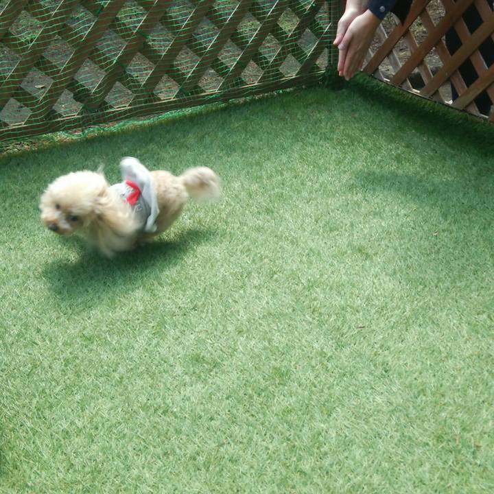 B25c81ed e4e3 4717 8a2e c8e9118150e9 1553864714607