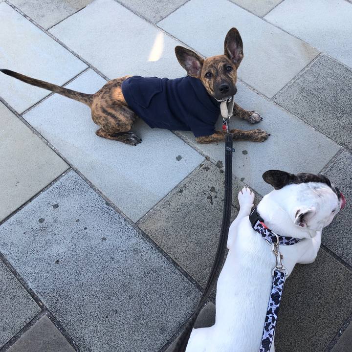 B25c8f4e b553 4751 a55e e9f37ce104fd 1571196165885