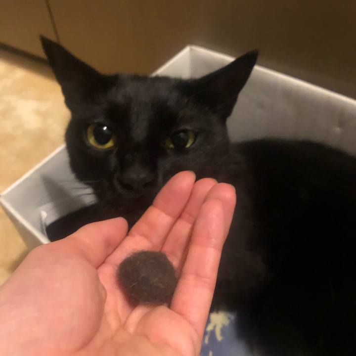 B25cae74 dcdc 4823 b5bf 345fbf9d1859 1622115600018