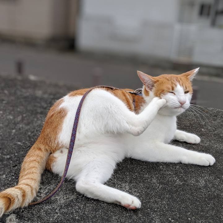 B25d31b2 d973 406f a7a5 ec4b2261ffed 1565833150795