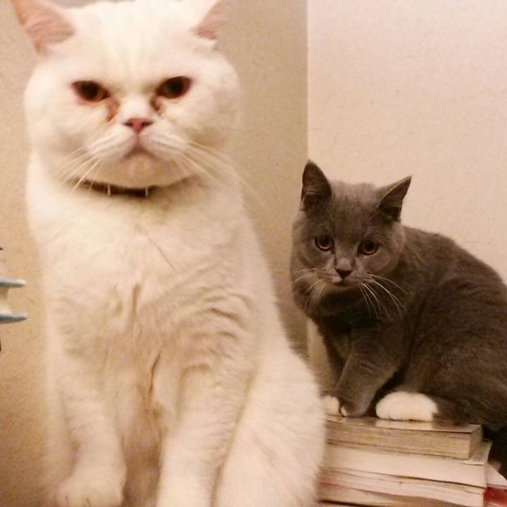 B25d3925 97d6 469c b067 a0bde83e8a45 1542147507487