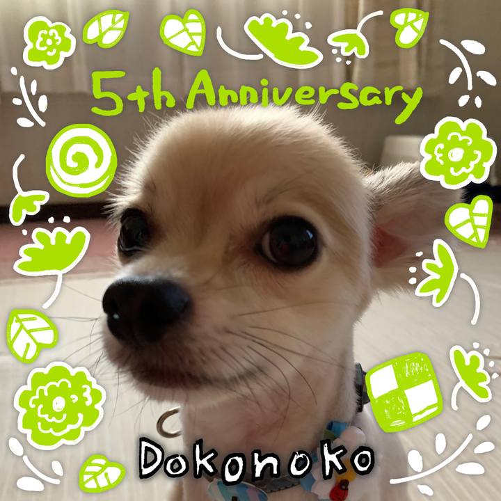 B25d3c62 480e 44f1 a27a 601cb935aa5b 1622863532586