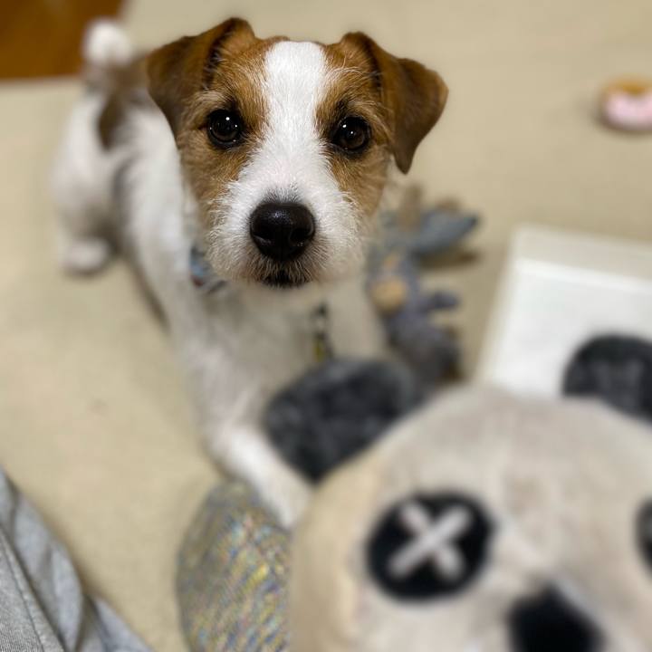 B25d5b1d 8c3f 4330 aadb 526e281f3152 1683451339855