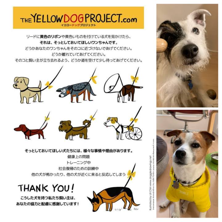 B25d9559 61e1 42b5 a054 233930142254 1636350772980