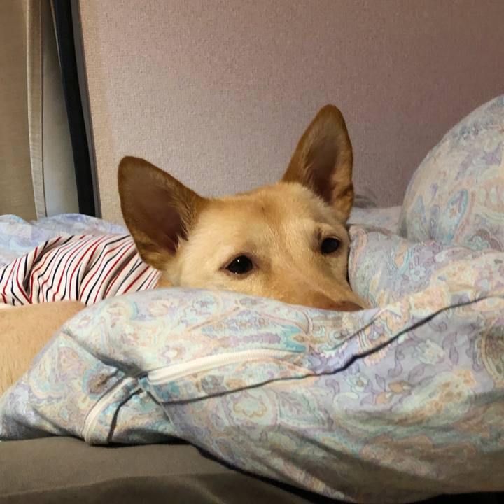 B25dae07 aab1 4391 af23 c6954beecf5e 1699263044406