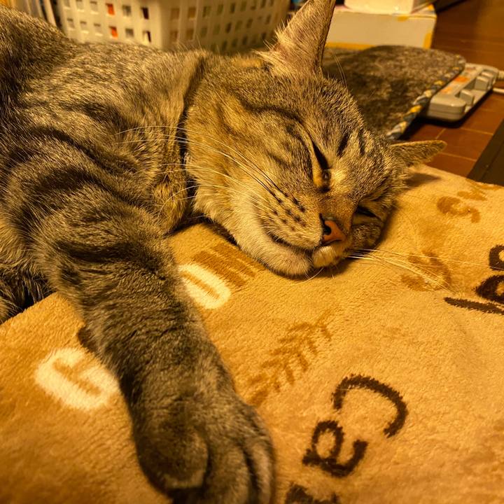 B25dc37d 1034 4cc6 ad1d 9d5925720a25 1583672914785