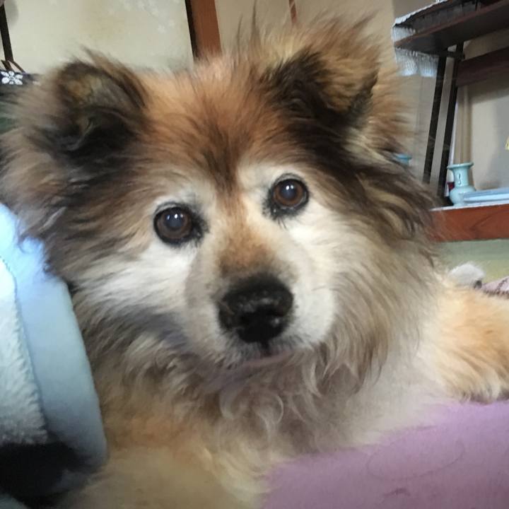 B25de516 283f 4a85 ad3d 01907bca06b1 1552633512675