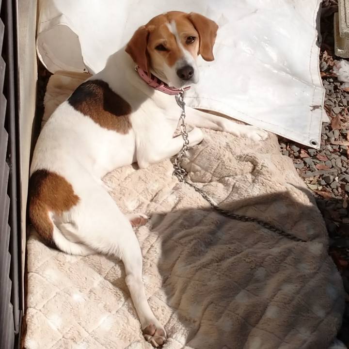 B25e0f8e a14a 412e b161 526580232bd7 1583115008224