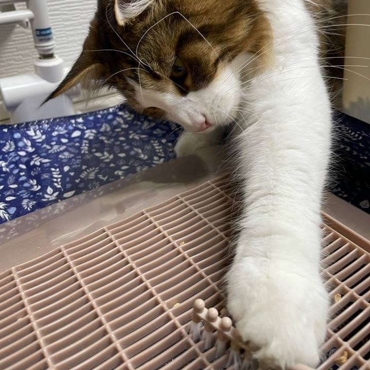 B25e3bba 6a99 4aa6 90ea 0826b8e08b99 1654396739236