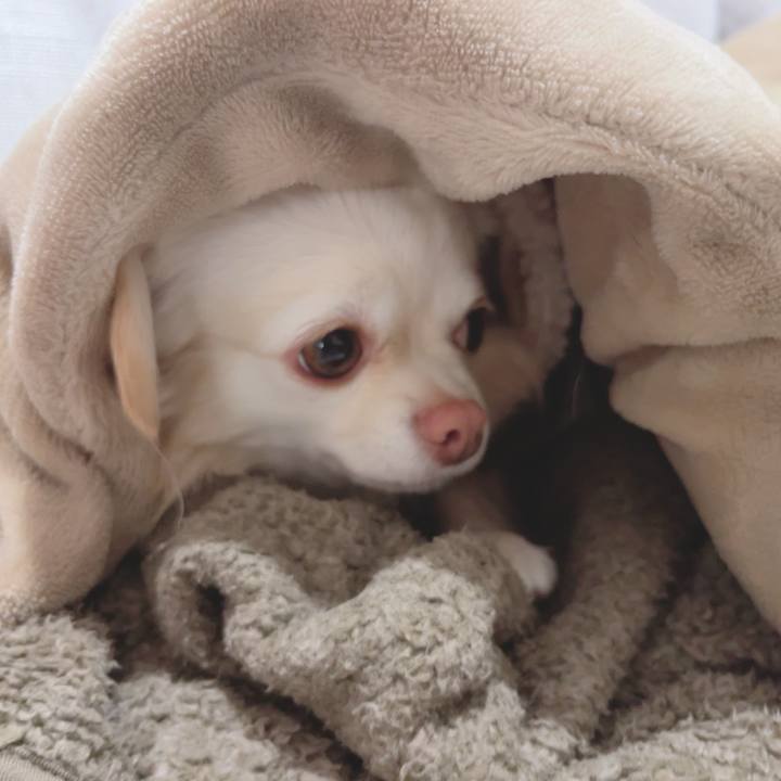 B25e67e0 ac6f 4e4b b17f b564ba03d2f2 1702214202431