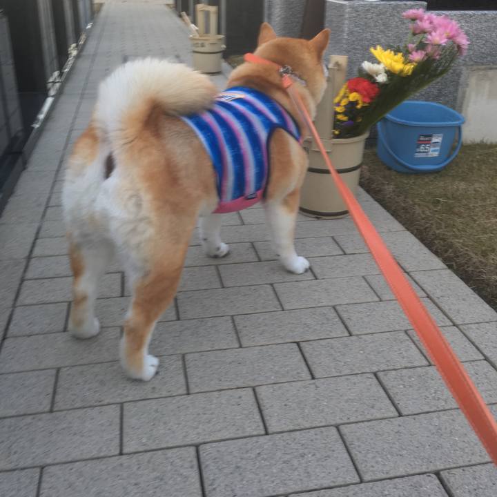 B25e7676 ee50 42af bda6 70dc78fb9135 1545204158445