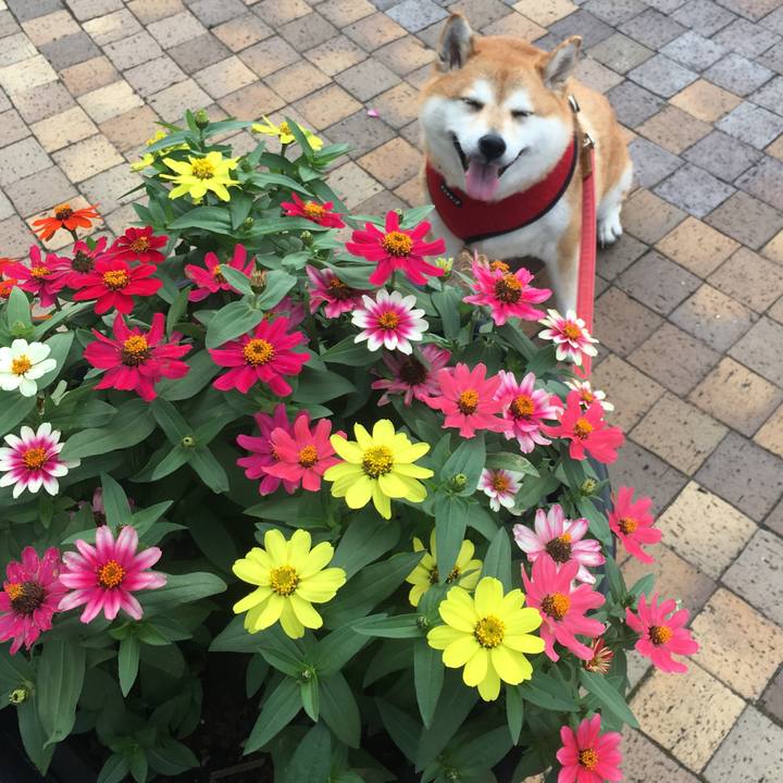 B25e7766 8218 46d9 b3db 96deac44a723 1637050079723