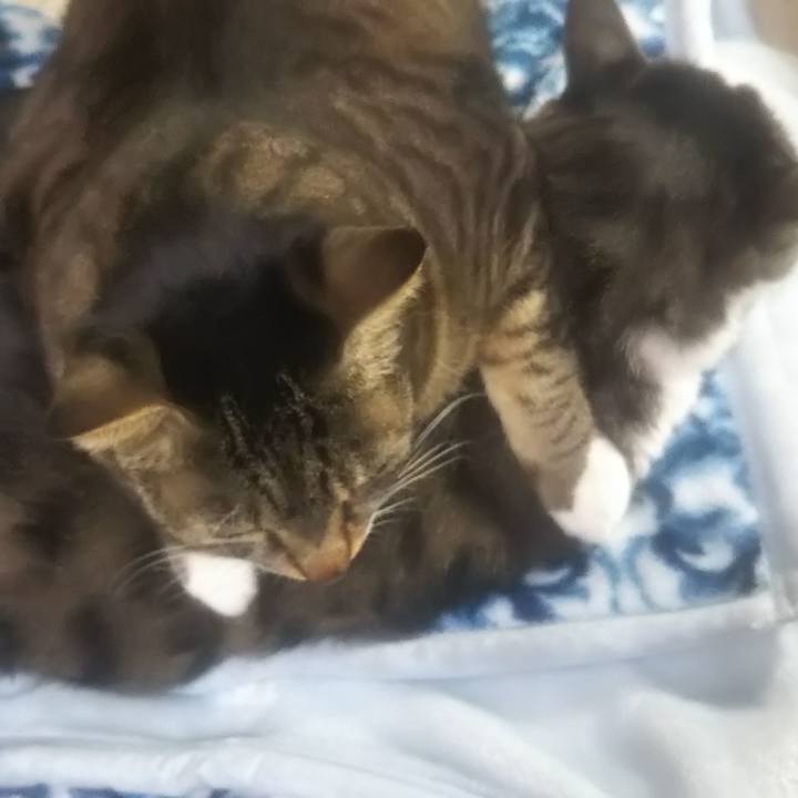 B25e80f1 1915 451c be7d c474c3eeb675 1637659864268