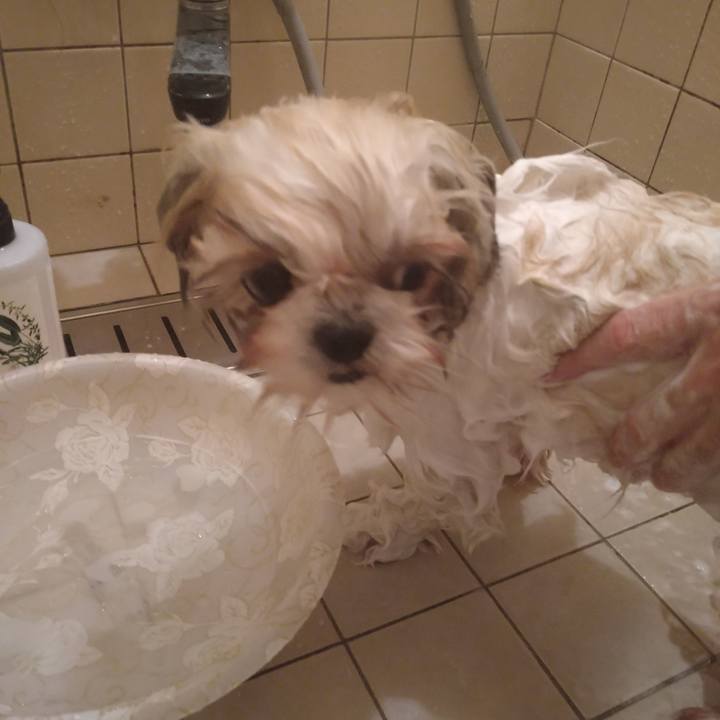 B25e8283 e994 4335 a81f ac3f5e55f307 1607168379750