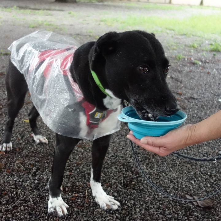 B25e8501 52ed 458b b06e ff8deefa2beb 1628984508424