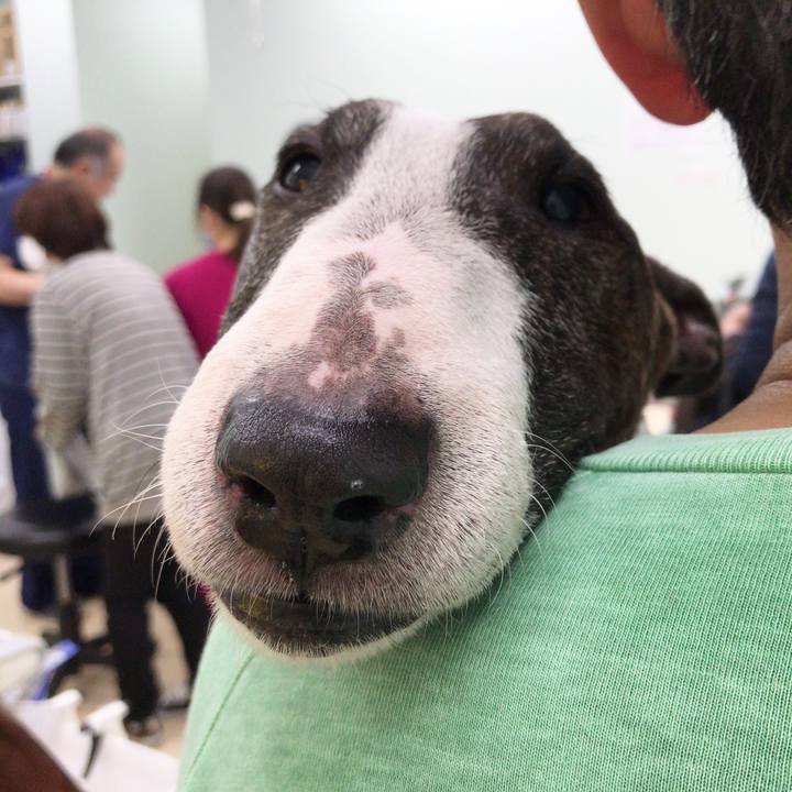 B25f4eaa ccd3 4da4 8197 16bfb92188a5 1521947866709