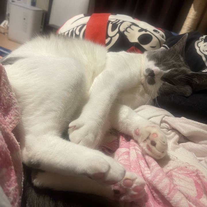 B25f5bc5 6375 4a3e 962c 89c21e616f5c 1652873223038