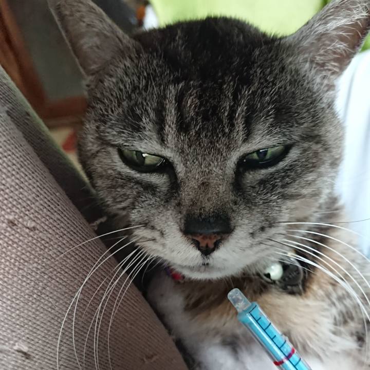 B25f5e11 1a37 4ab7 ae2e ea83362f4814 1589581133249