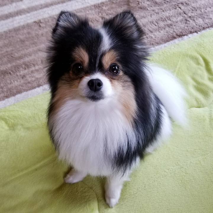 B25f647d af2a 4dd8 9ea4 efc0e0d8a1f1 1525043877934