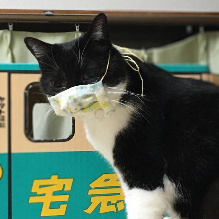 B25f7260 d8fd 4b8f 942e 3d8378b818a5 1589034005253