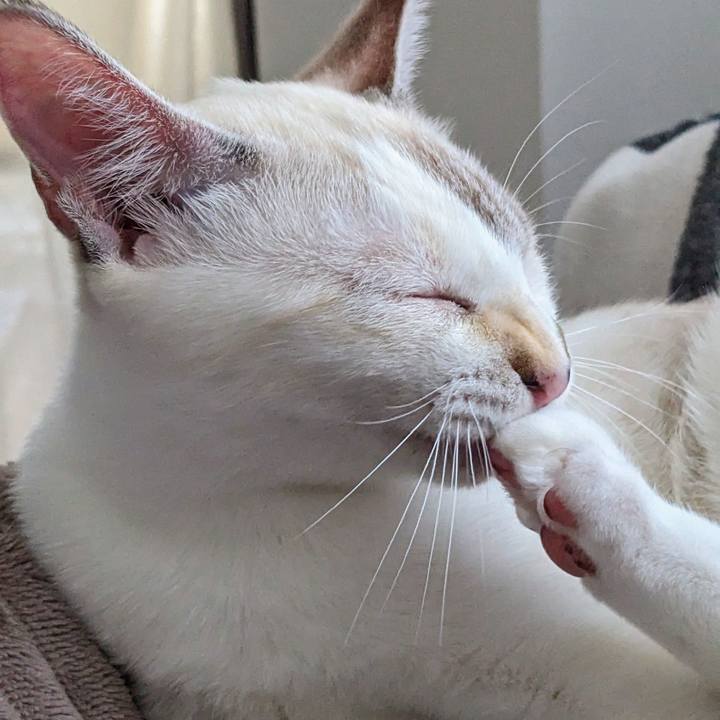 B25f7a0d 3b74 4647 a8f2 22c6c5383373 1697678758170