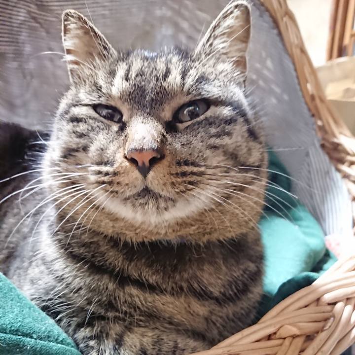 B25f9eac da8e 4400 b7c2 d03be8d254b9 1640867959611