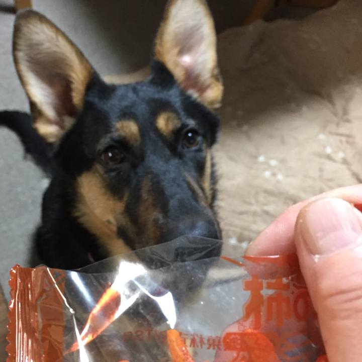 B25fb343 e94f 4077 a021 d40ff1c50614 1521361898878