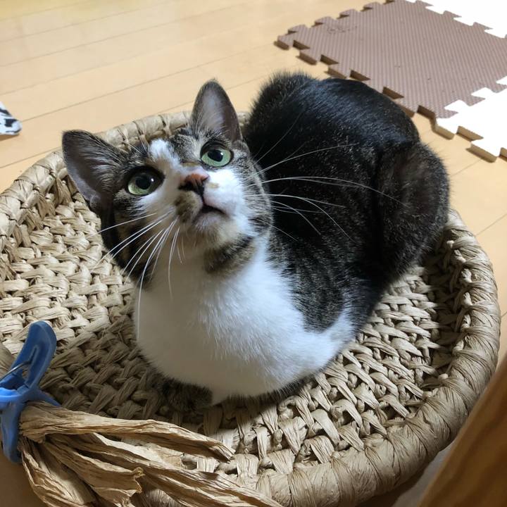 B26049b5 df04 435b 97d7 a1f9ada5a0b4 1525809444418