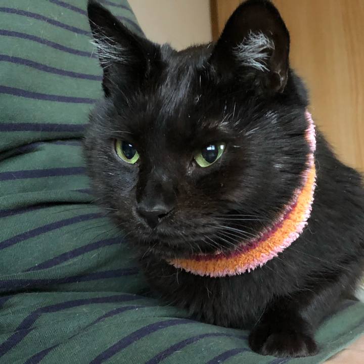 B2609ed3 6496 4f25 a914 c19b008c8d4e 1587891331486