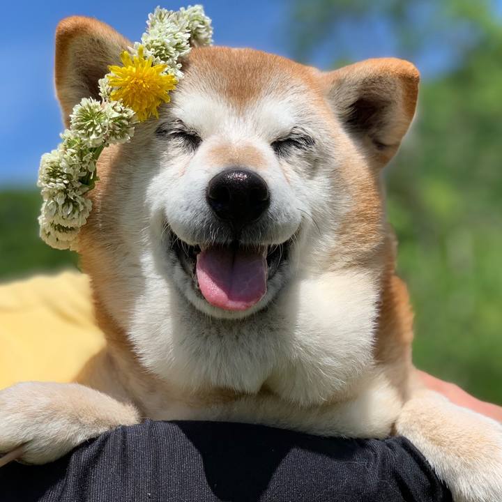 B260c984 8b2d 474b a262 ad8296875a12 1558582801694