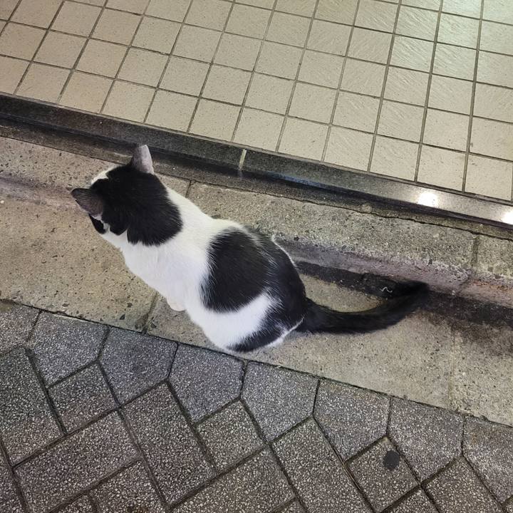 B260d053 0024 48ac a612 df60972f9fa3 1697768198795