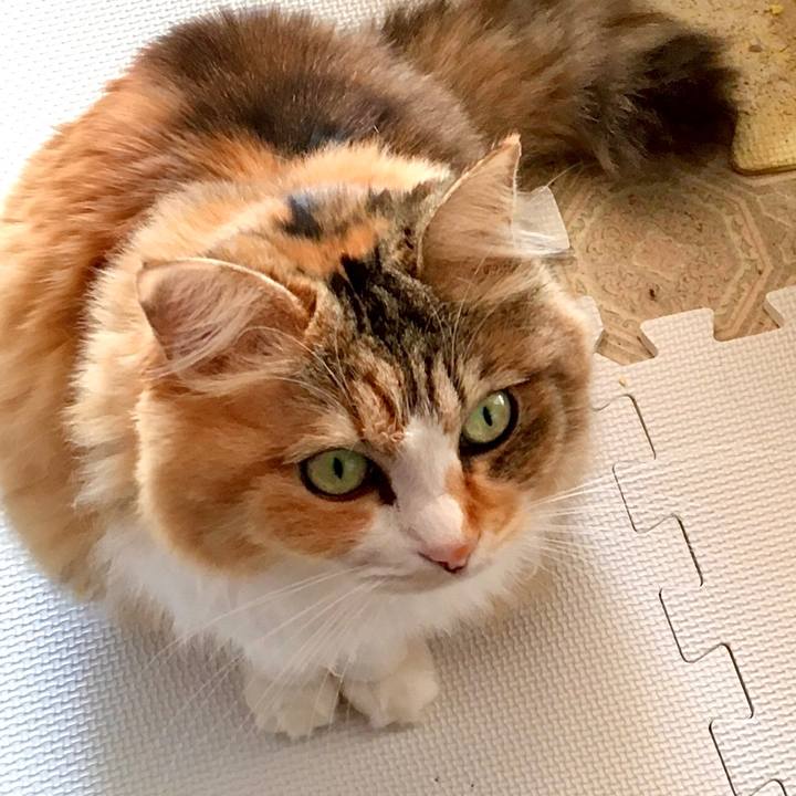 B260d897 7c5b 45e5 bc13 6f6de56392e7 1574229441041